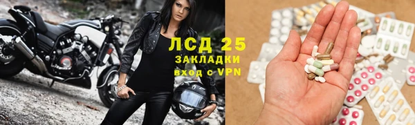 дмт Алзамай