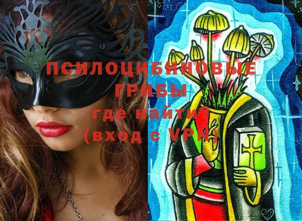 ECSTASY Абаза