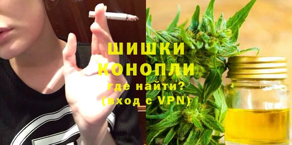 индика Зерноград