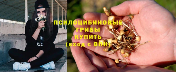 каннабис Горнозаводск